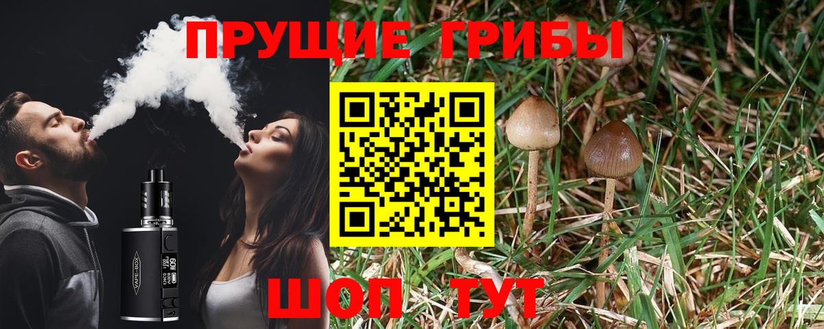 Кыштым  Галлюциногенные грибы Magic Shrooms  Вход с VPN  Псилоцибиновые грибы мицелий 