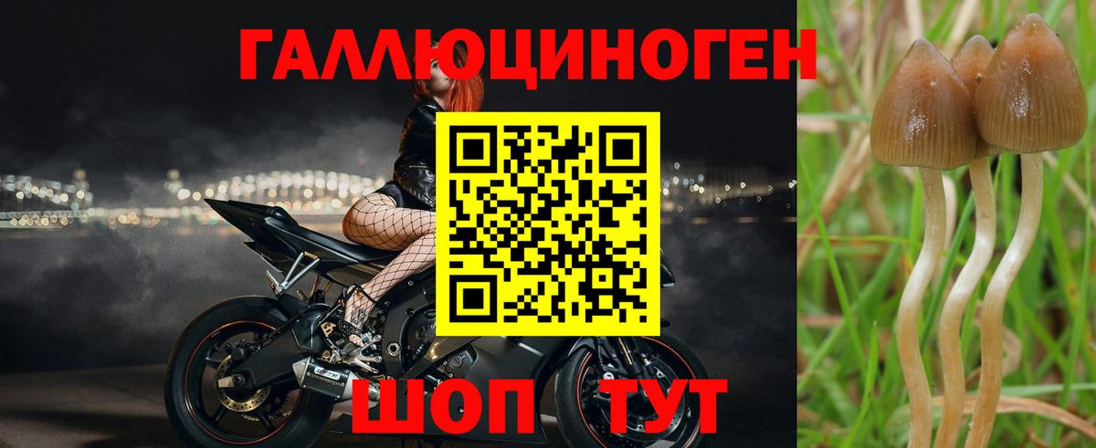 Каннабис Кыштым